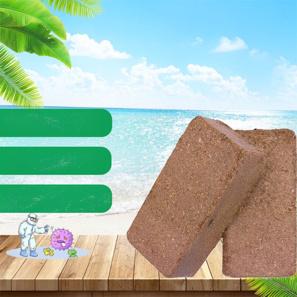 Substrato di terra in mattoni  - Substrate Coconut Fiber recensione e prezzo
