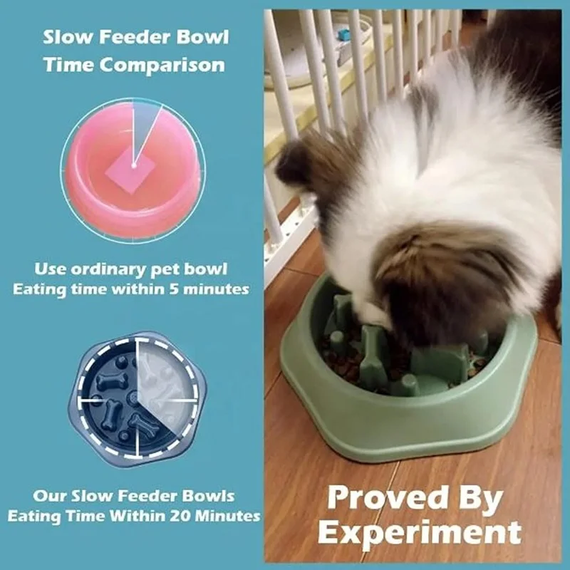 Ciotola per Cani a Rilascio Le - Royal Canin Food Medium recensione e prezzo