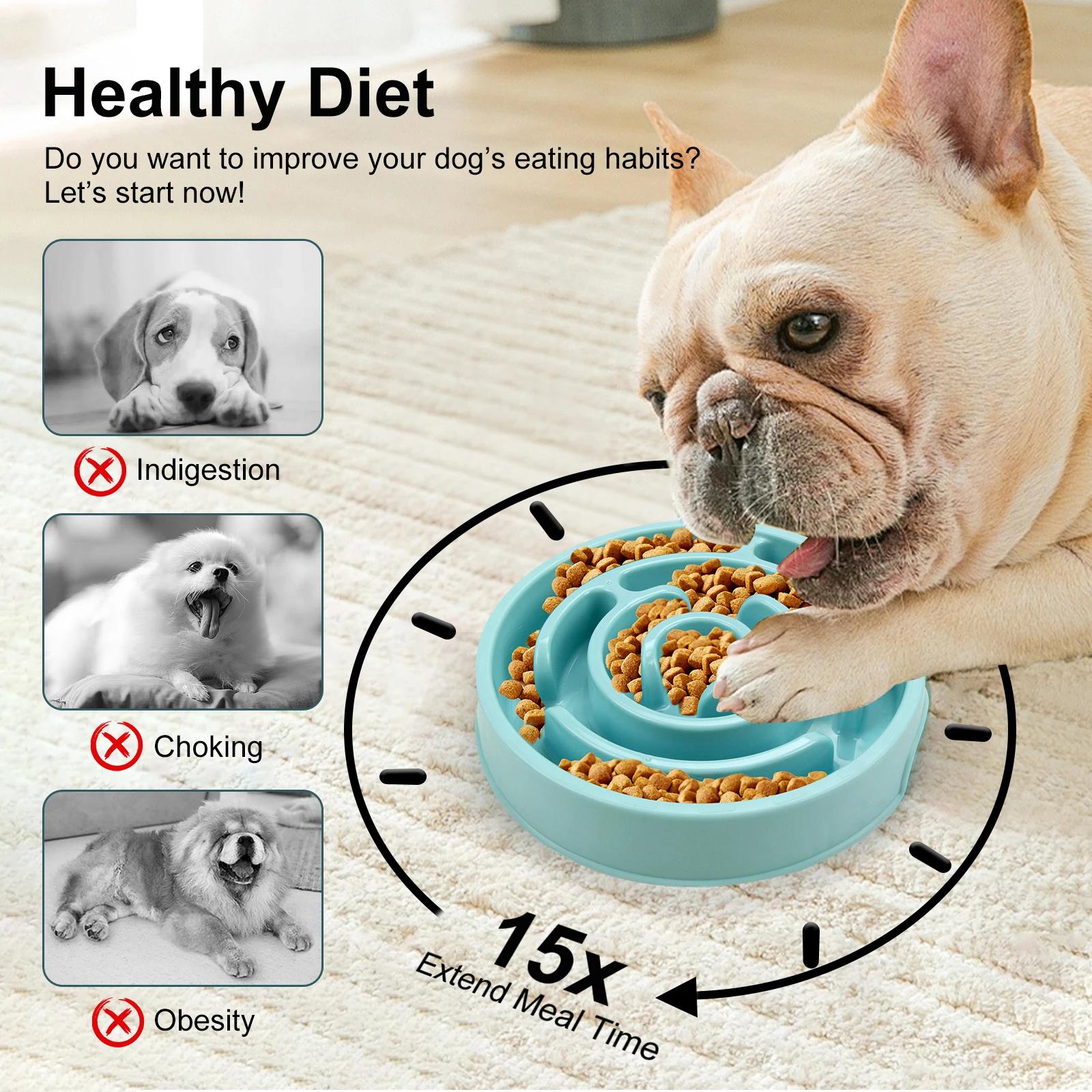 Ciotola per cani a lenta alime - Royal Canin Food Medium recensione e prezzo